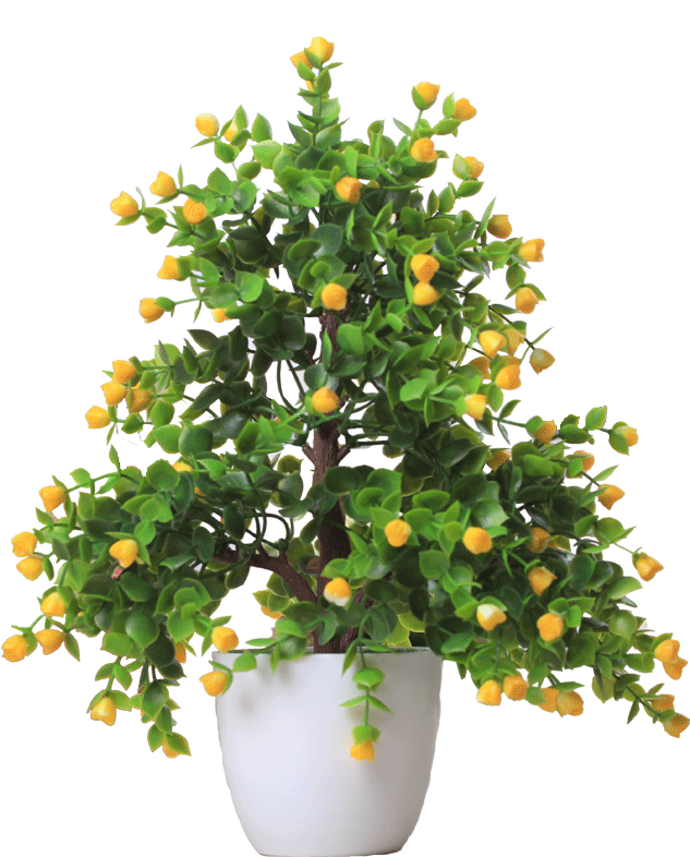 Flowering Plantin White Pot.png