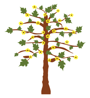 Flowering Tree Illustration