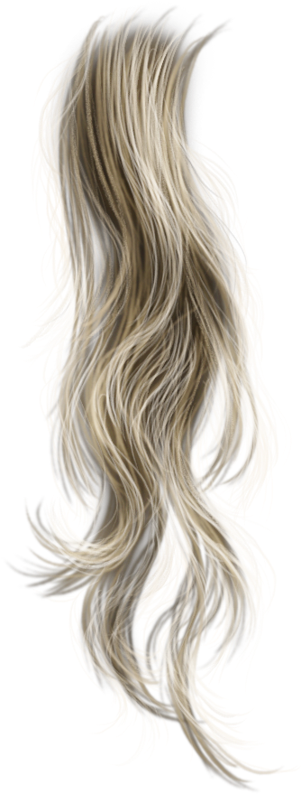 Flowing Blonde Hair Illustration