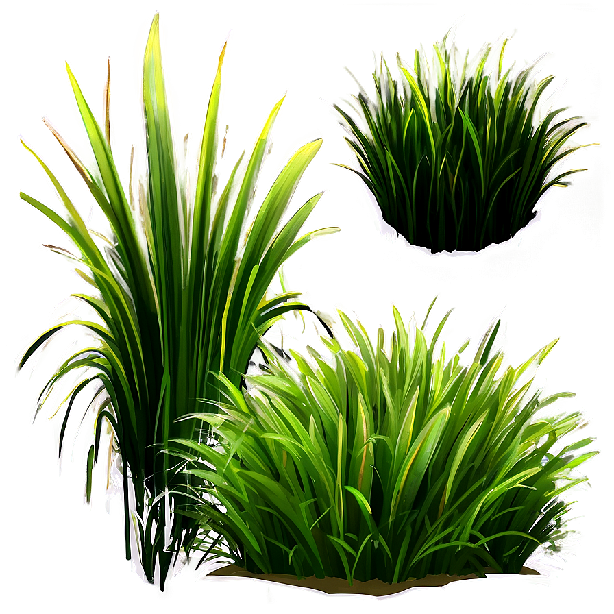 Fluffy Cartoon Grass Png 06122024