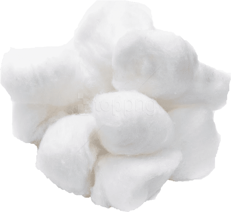 Fluffy Cotton Boll