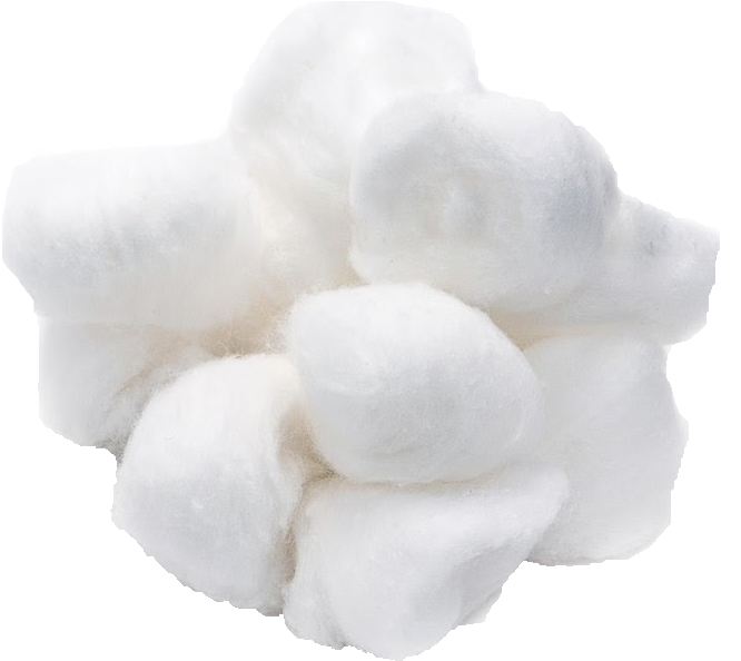 Fluffy Cotton Boll