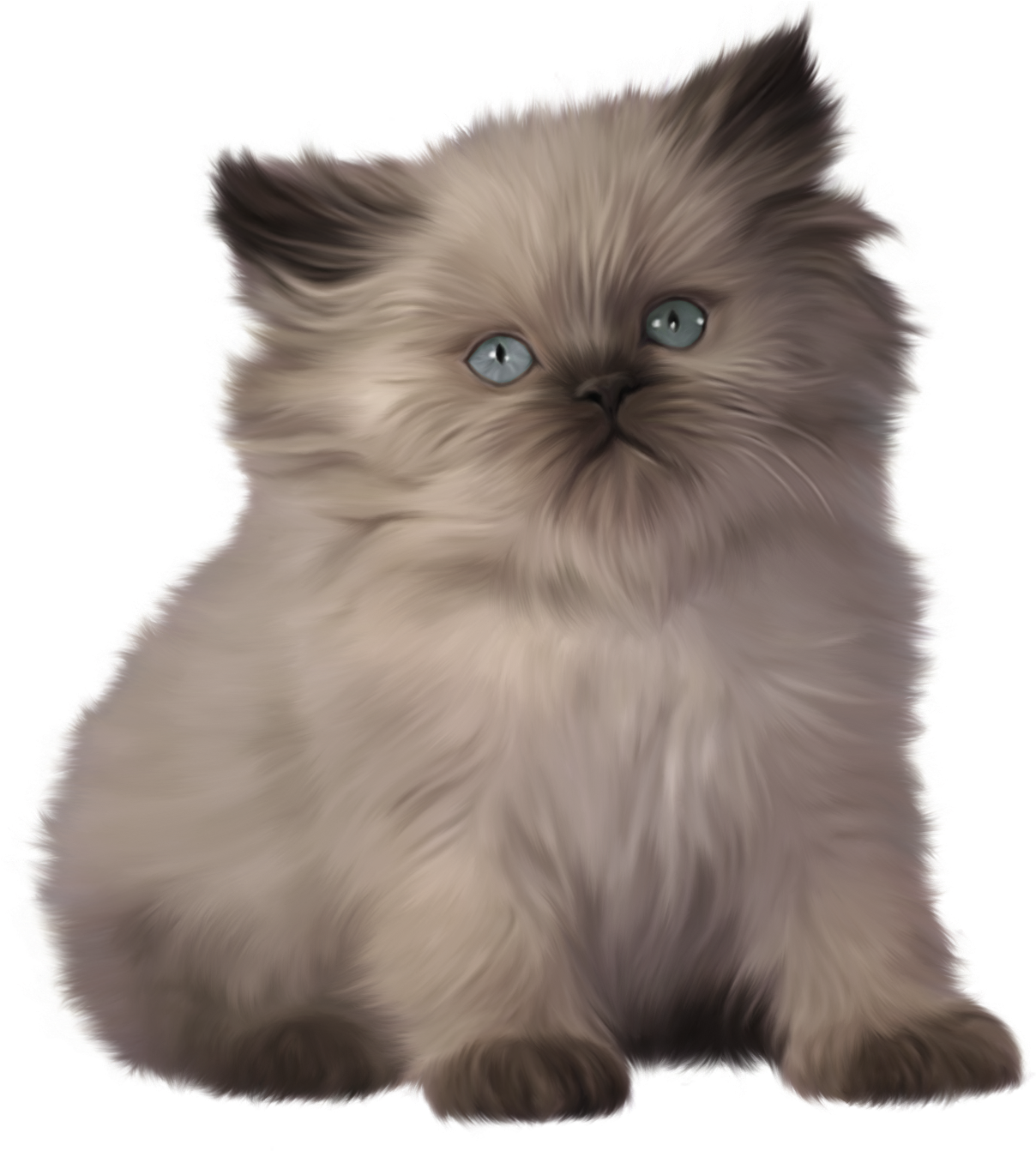 Fluffy Gray Kitten Illustration