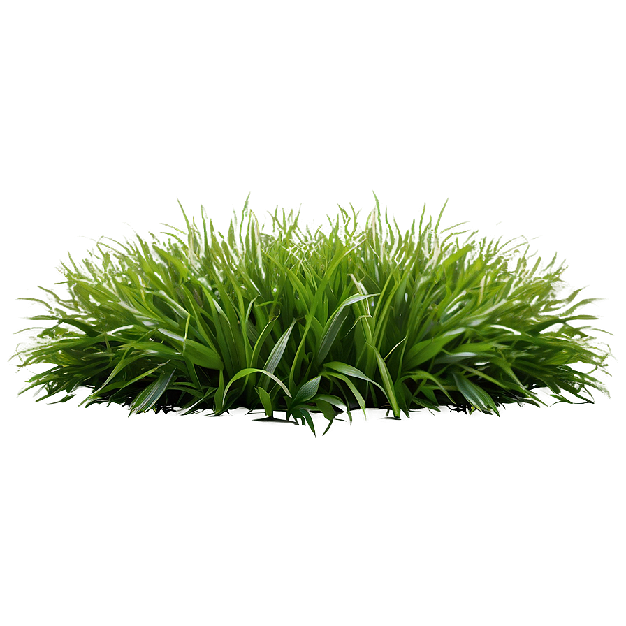 Fluffy Green Grass Png Ofq