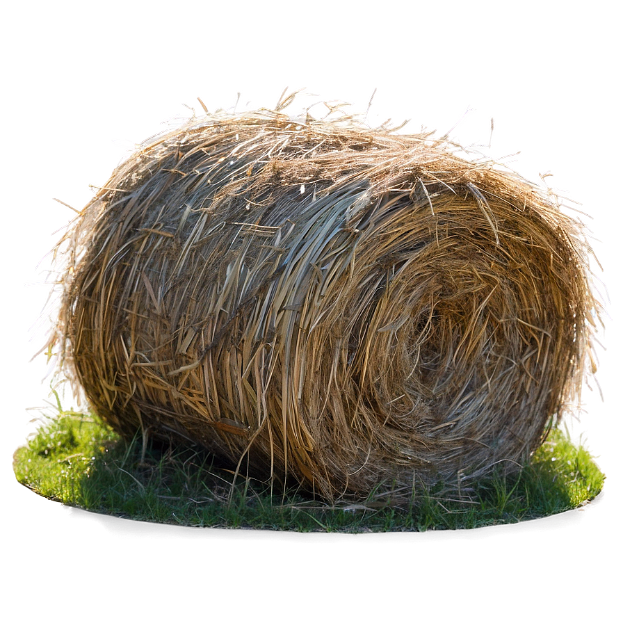 Fluffy Hay Patches Png 68