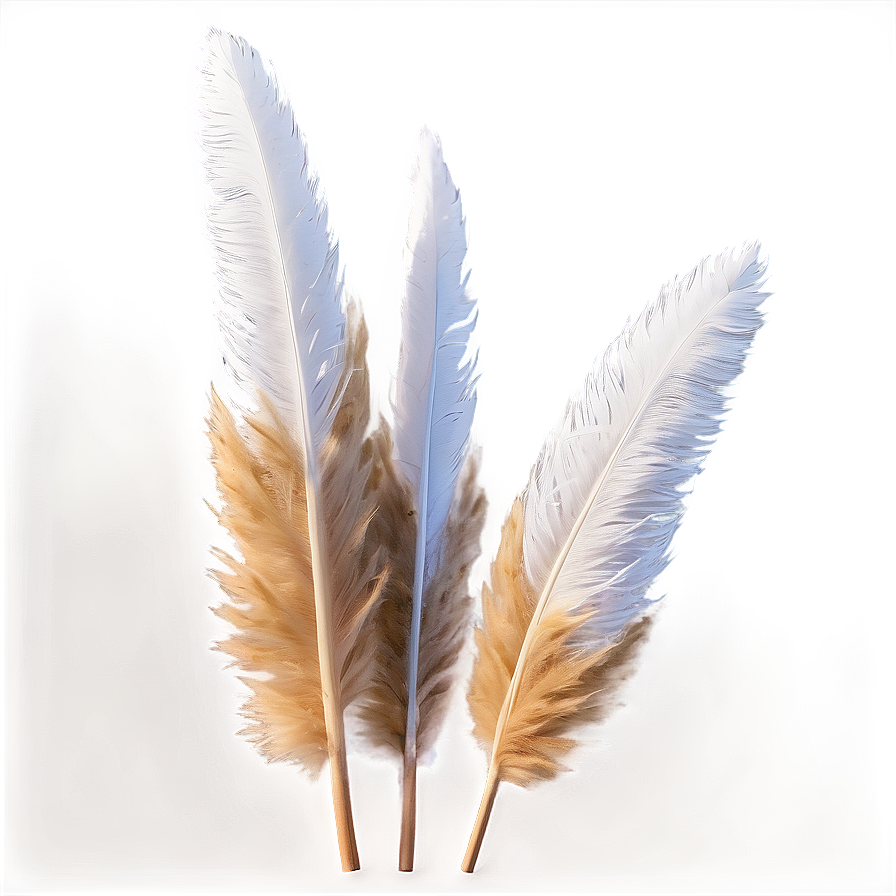 Fluffy Pampas Plumes Png 76