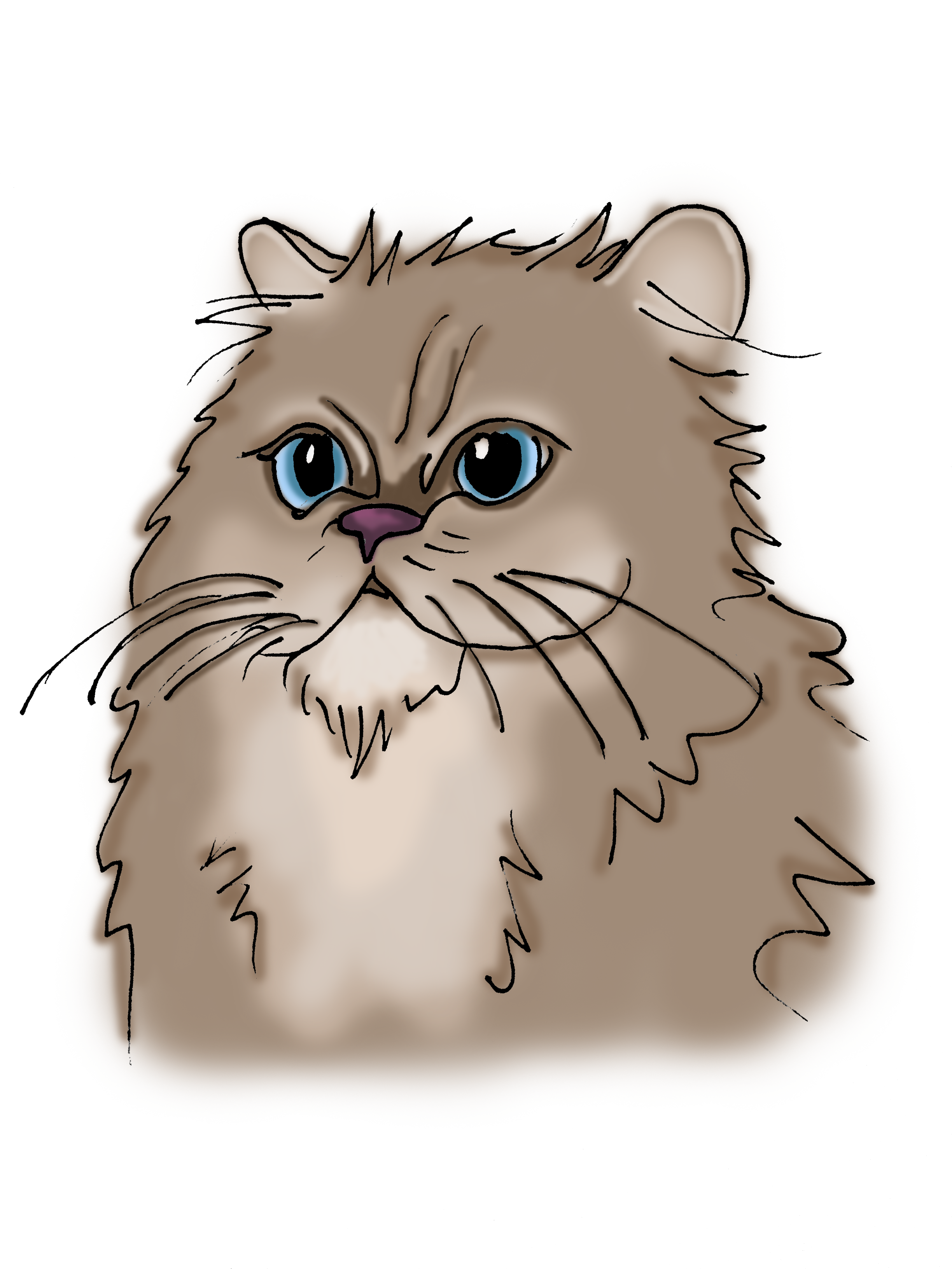 Fluffy Persian Cat Illustration