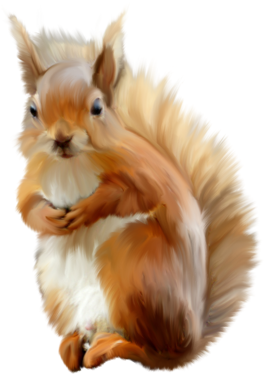 Fluffy Red Squirrel Artwork