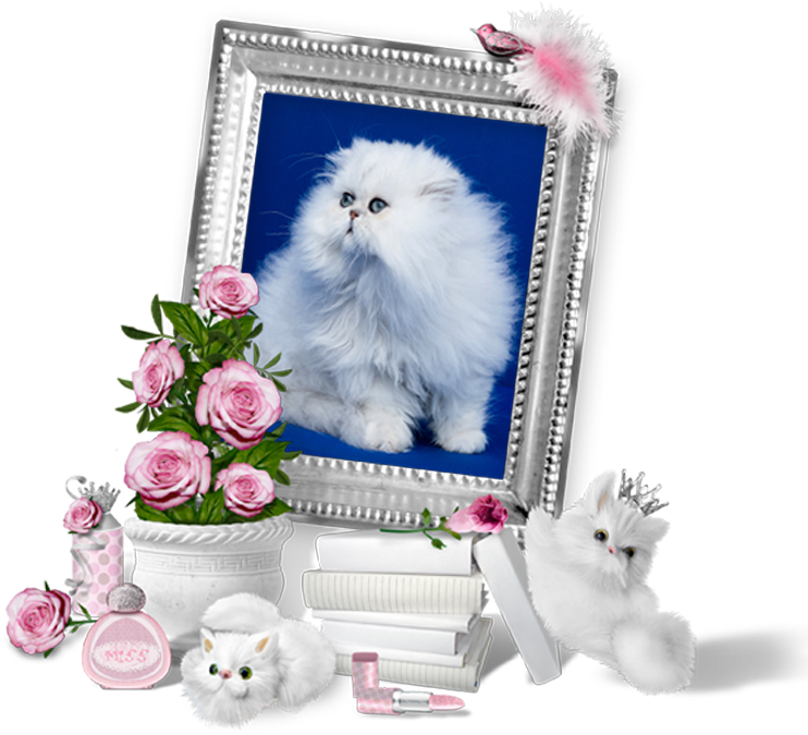 Fluffy White Cat Framedwith Pink Rosesand Accessories