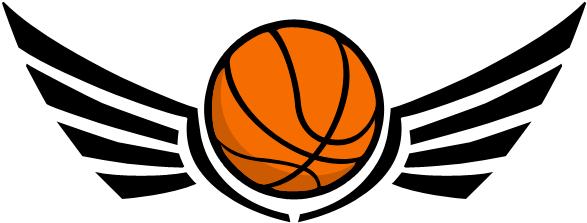 Flying Basketball Logo