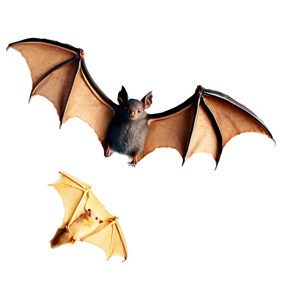 Flying Bats Png 05232024