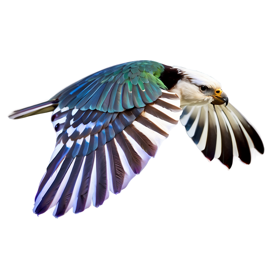 Flying Bird Transparent Png 97