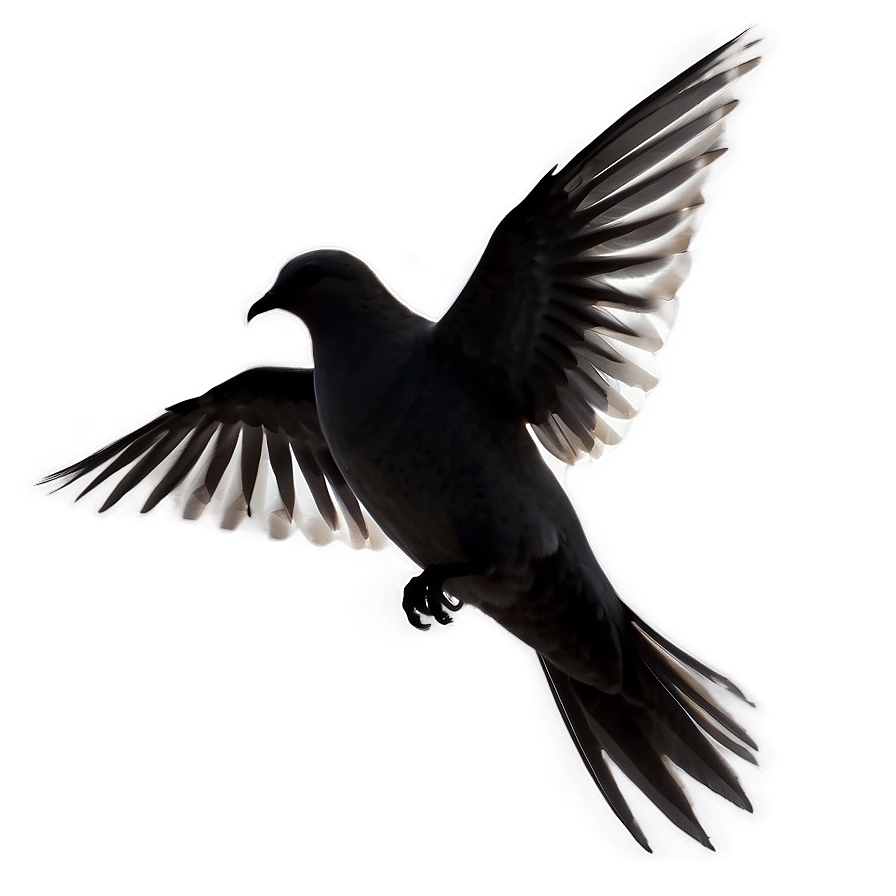 Flying Dove Silhouette Clipart Png 42