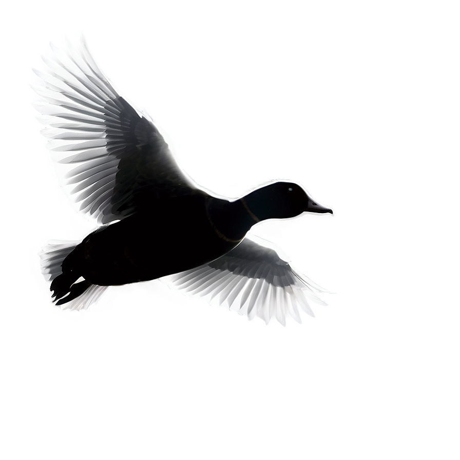 Flying Duck Silhouette Png Sah14