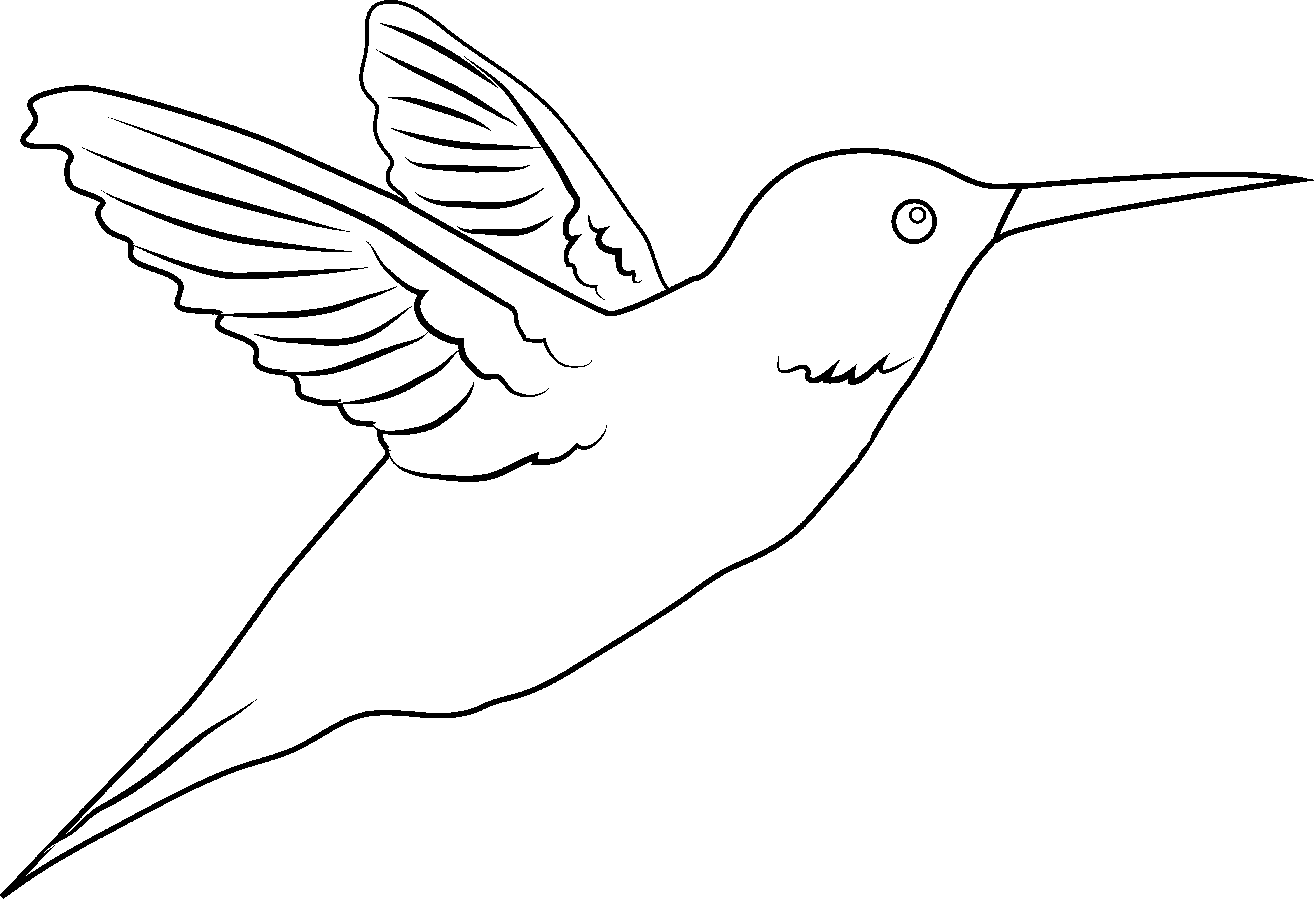 Flying Hummingbird Line Art