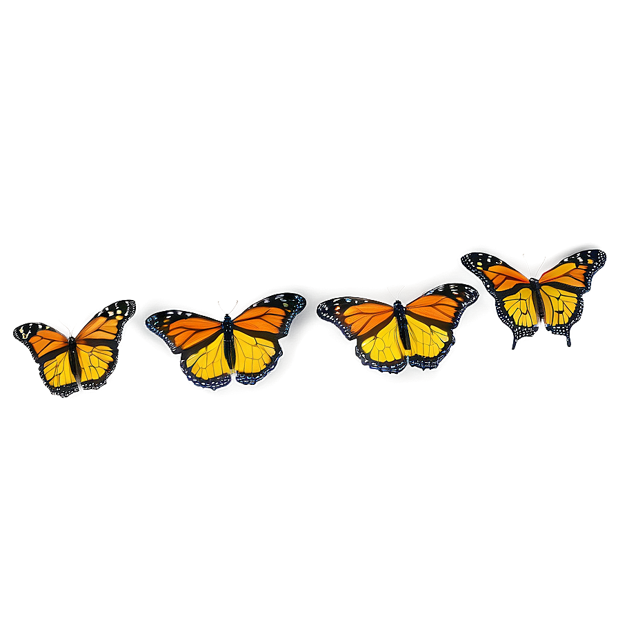 Flying Monarch Butterflies Png 06252024