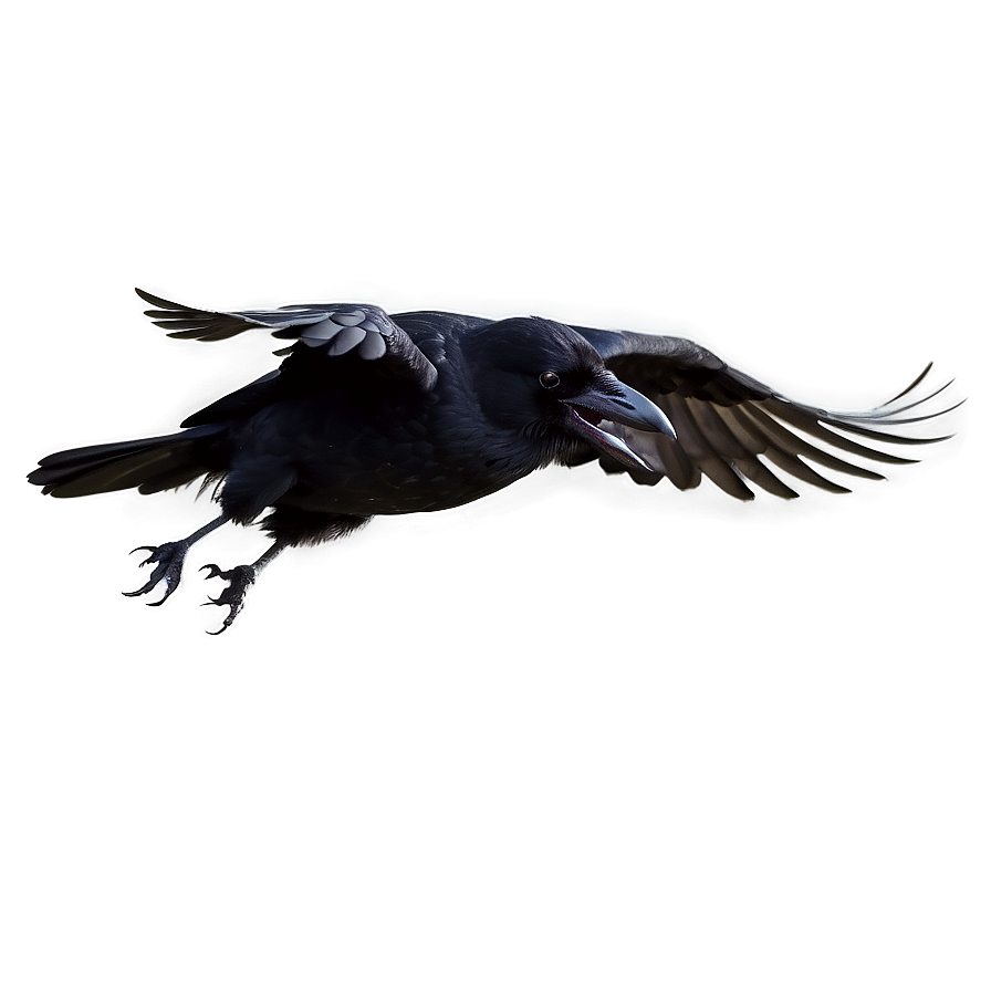 Flying Raven Png 34