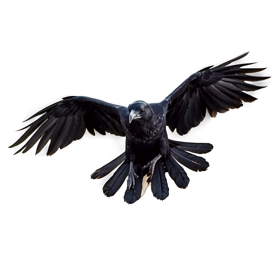 Flying Raven Png Hpx43