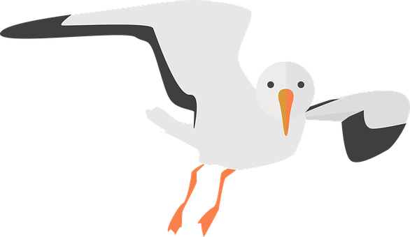 Flying Seagull Vector Illustration