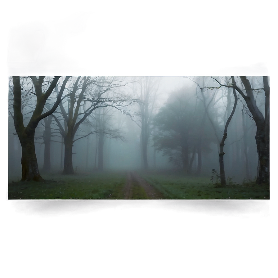 Fog Texture Transparent Png 05262024