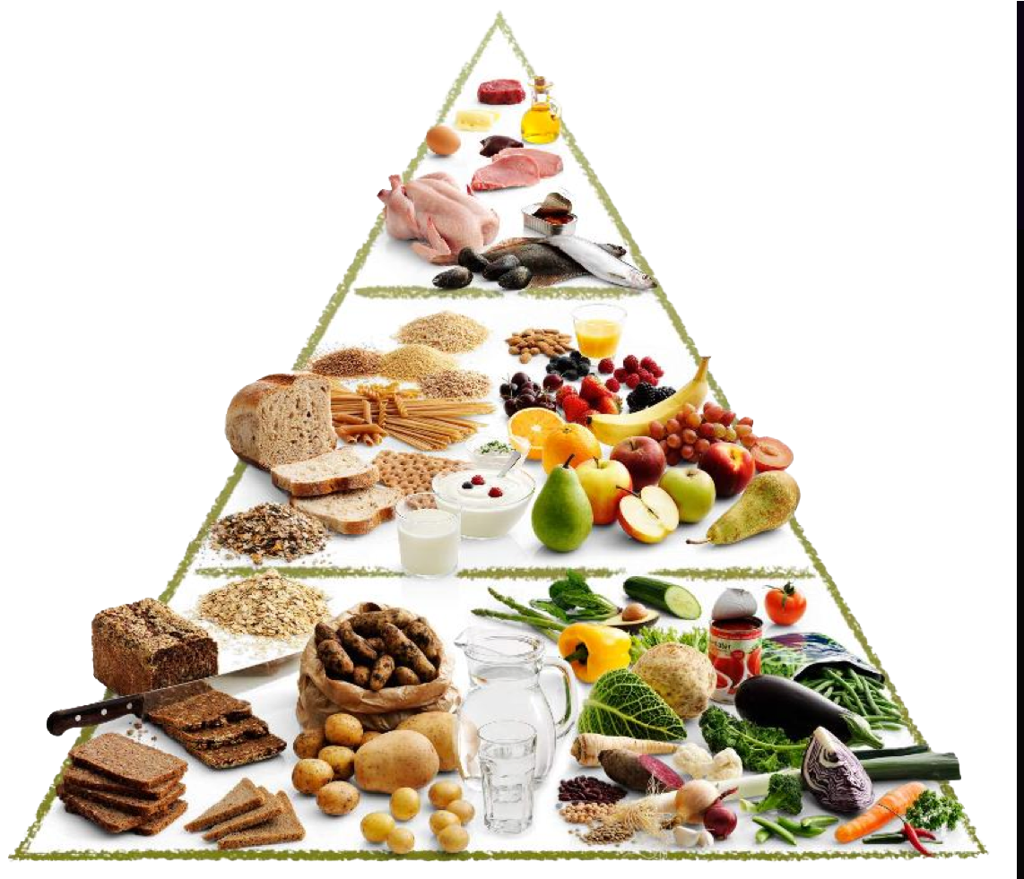 Food Pyramid Nutrition Guide