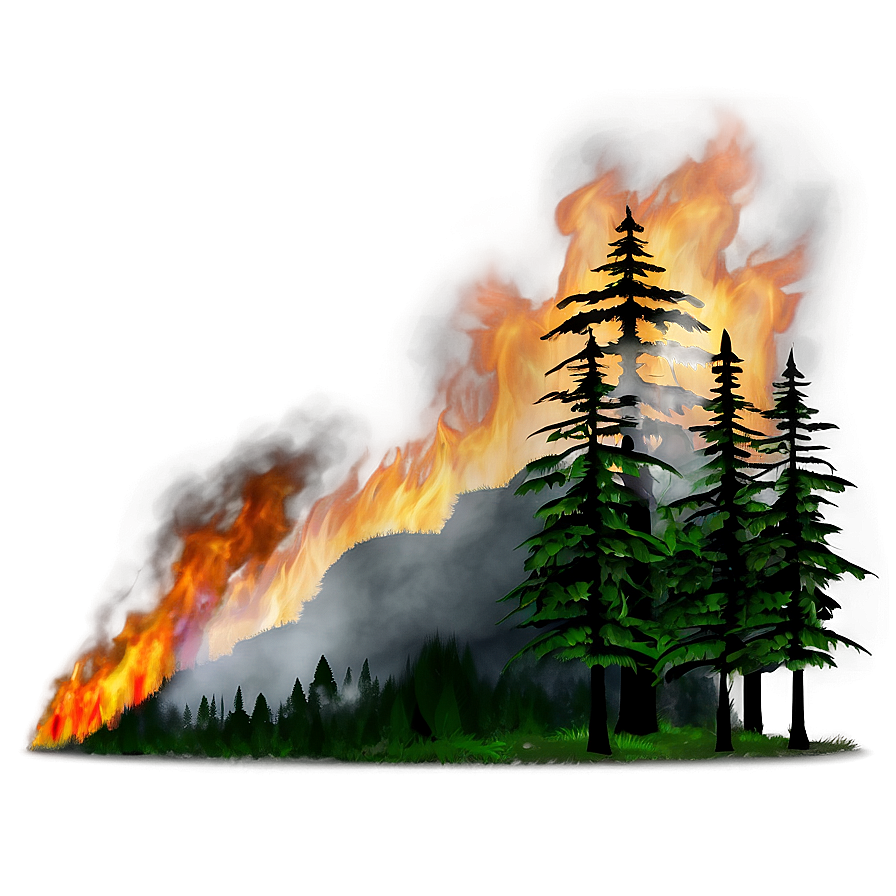 Forest Fire Night Png Vxq82