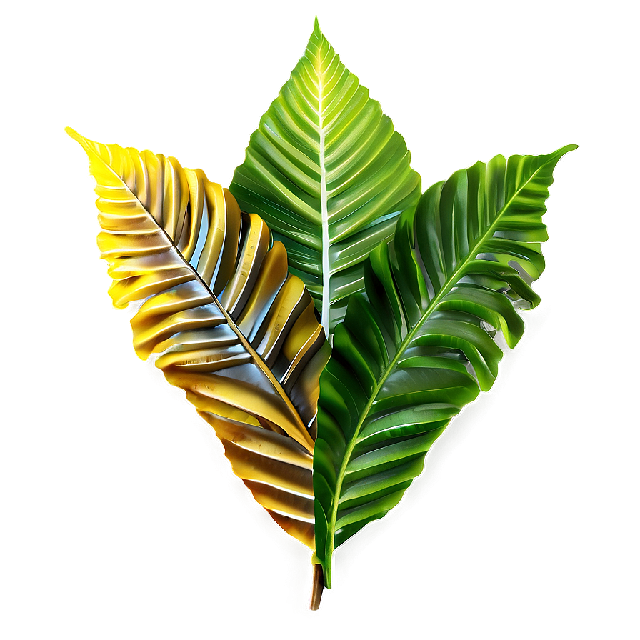 Forest Leaves Png 88
