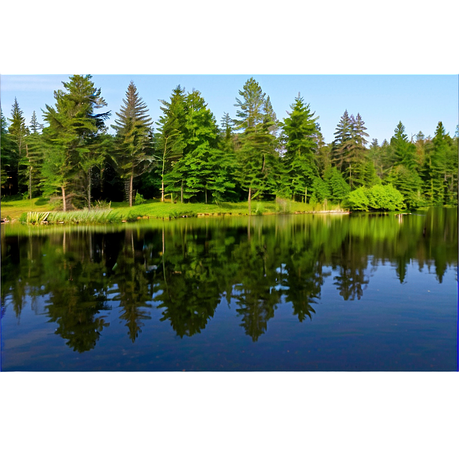 Forest Pond View Png Eom64