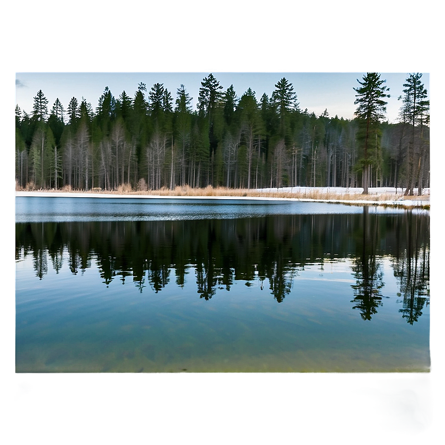 Forest Trees Reflection Lake Png 58