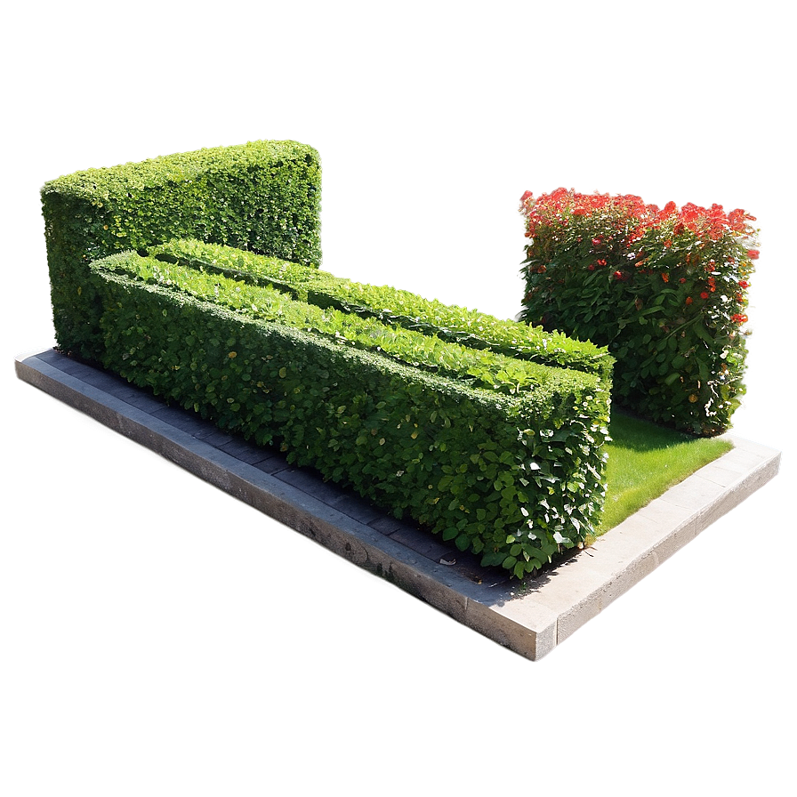 Formal Garden Shrubs Png 06122024