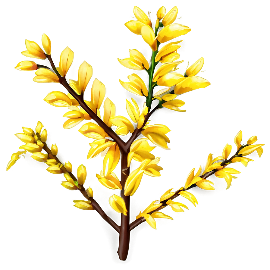 Forsythia Flower Bush Png Nnh