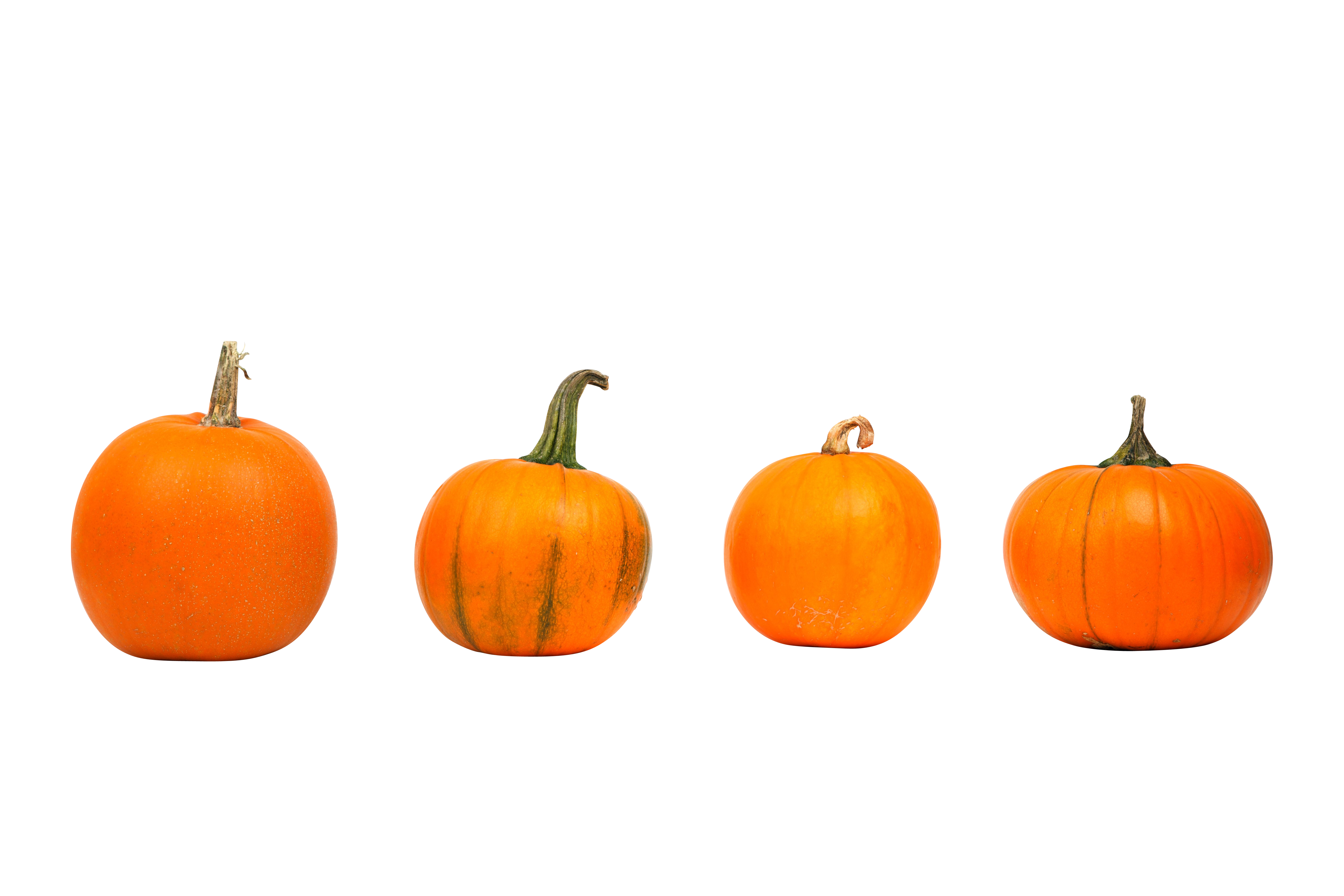 Four Orange Pumpkins Black Background