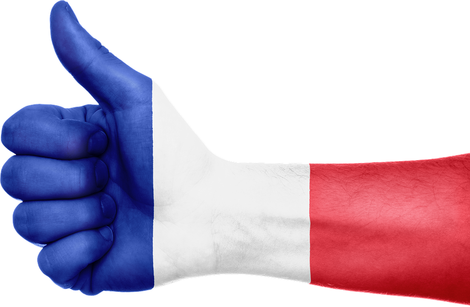 France Flag Thumbs Up Gesture