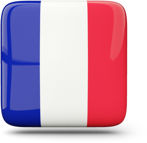 French Flag Icon Square