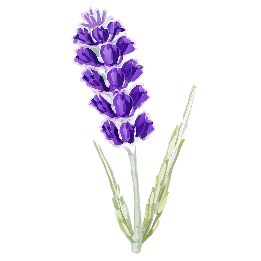 French Lavender Flower Png Exo