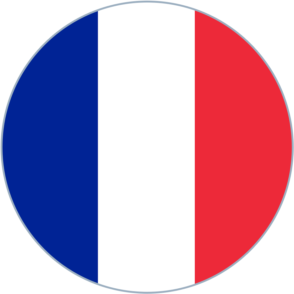 French National Flag Oval Graphic