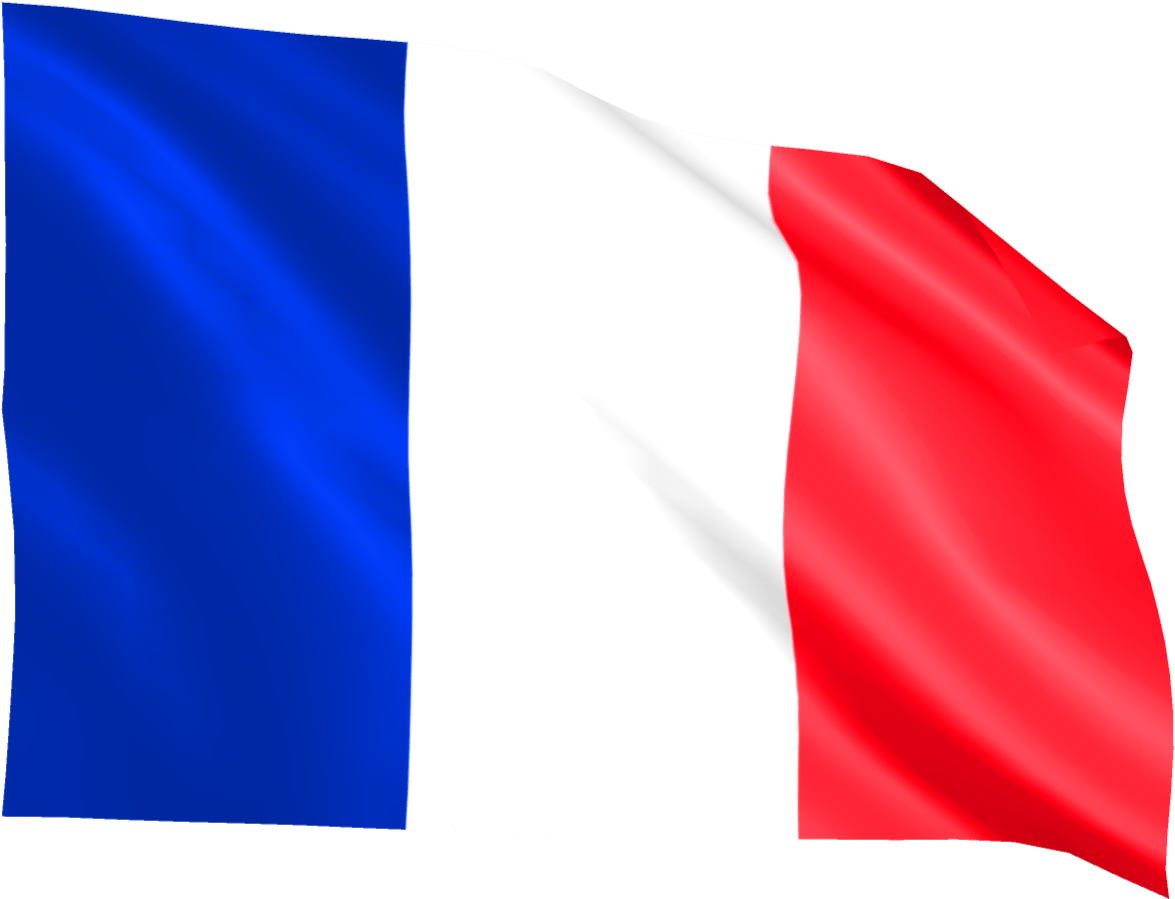 French National Flag Waving