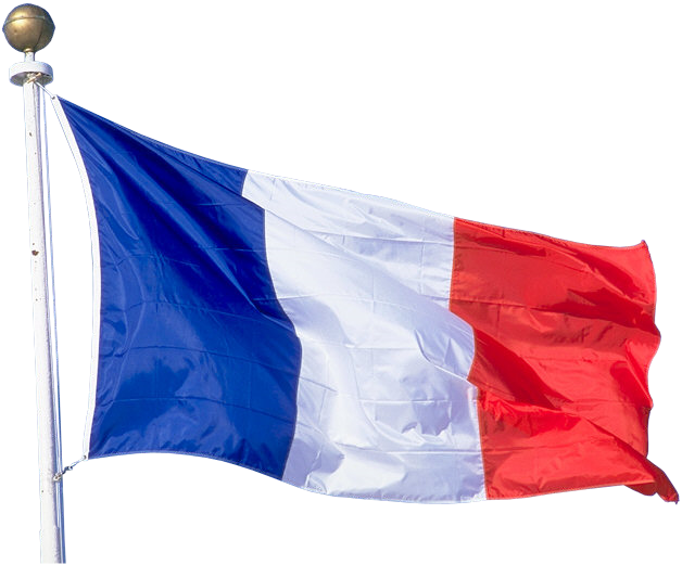 French National Flag Waving