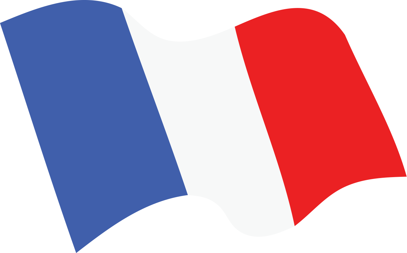 French Tricolor Flag Waving