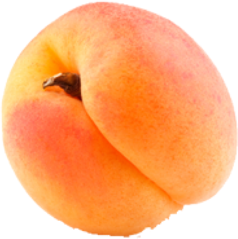 Fresh Apricot Single Fruit