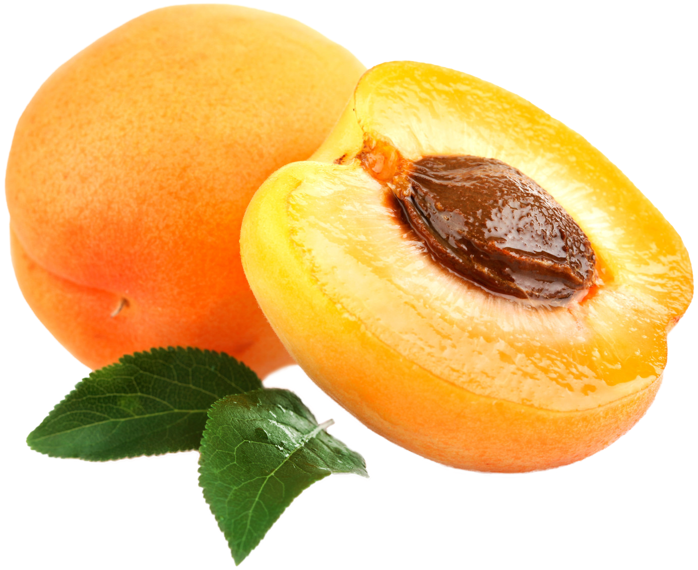 Fresh Apricotand Halfwith Seed