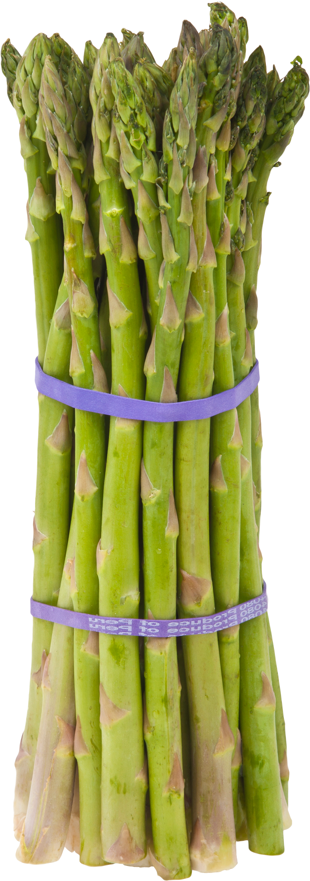 Fresh Asparagus Bundle