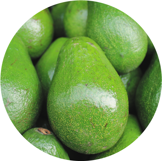 Fresh Avocado Pile Closeup.jpg