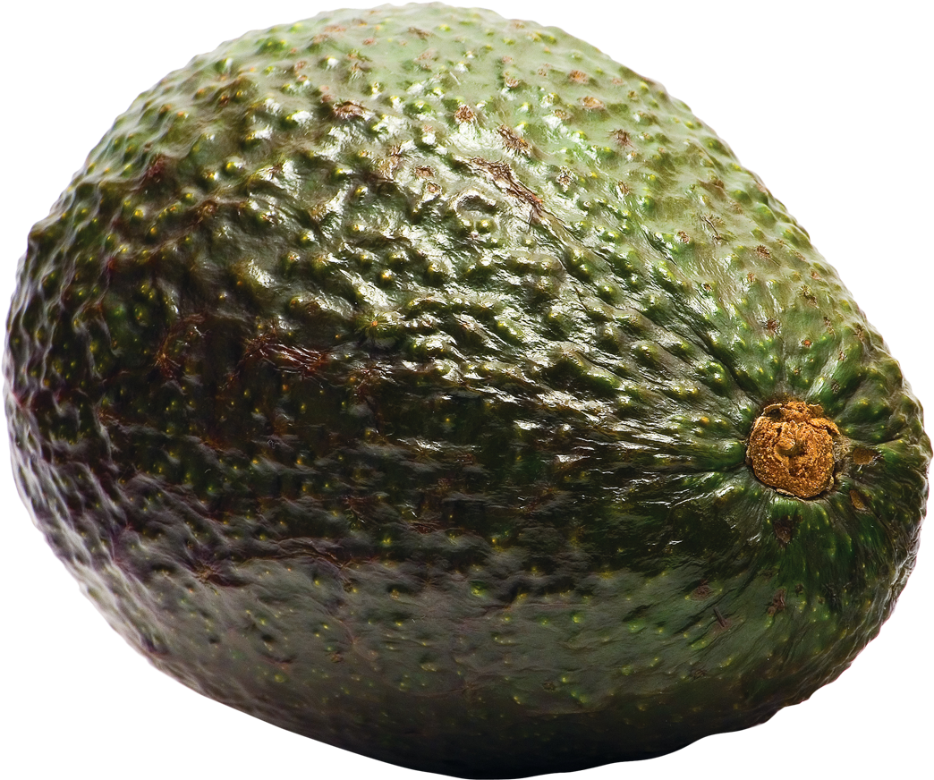 Fresh Avocado Single Fruit