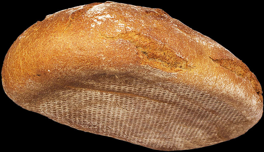 Fresh Baked Loafof Bread