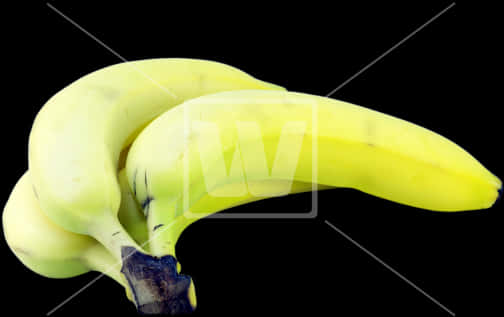 Fresh Bananas Black Background