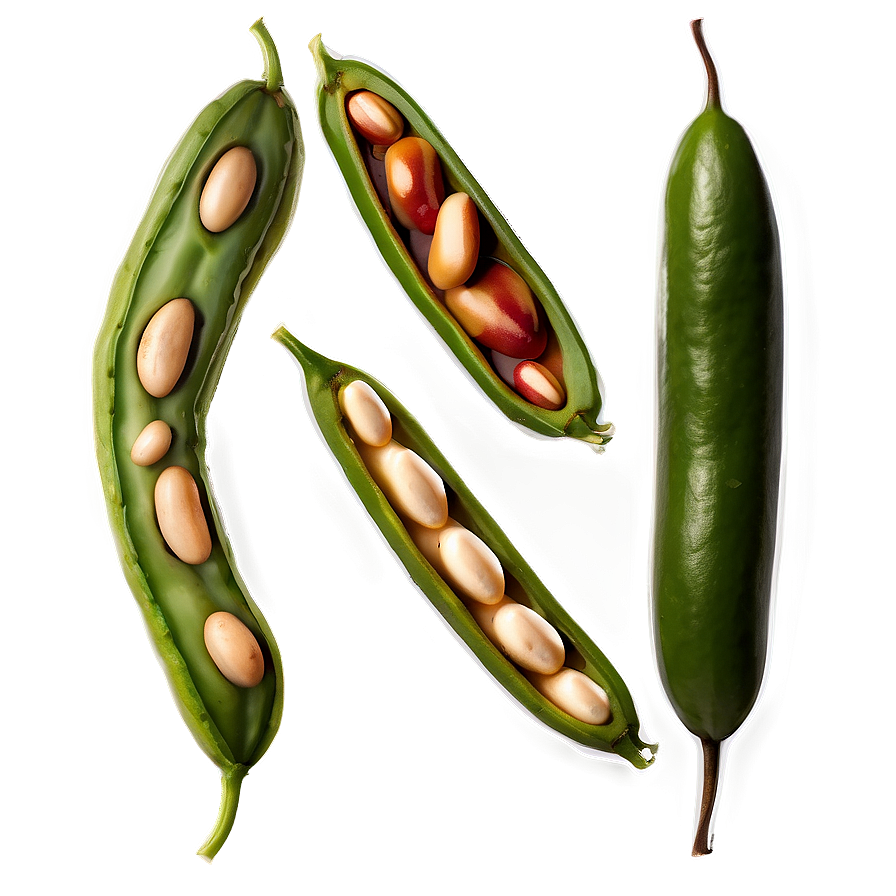 Fresh Bean Image Png Smt57