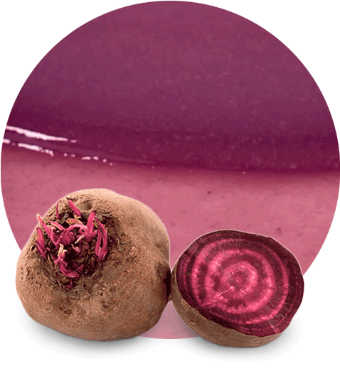 Fresh Beetrootand Half Slice