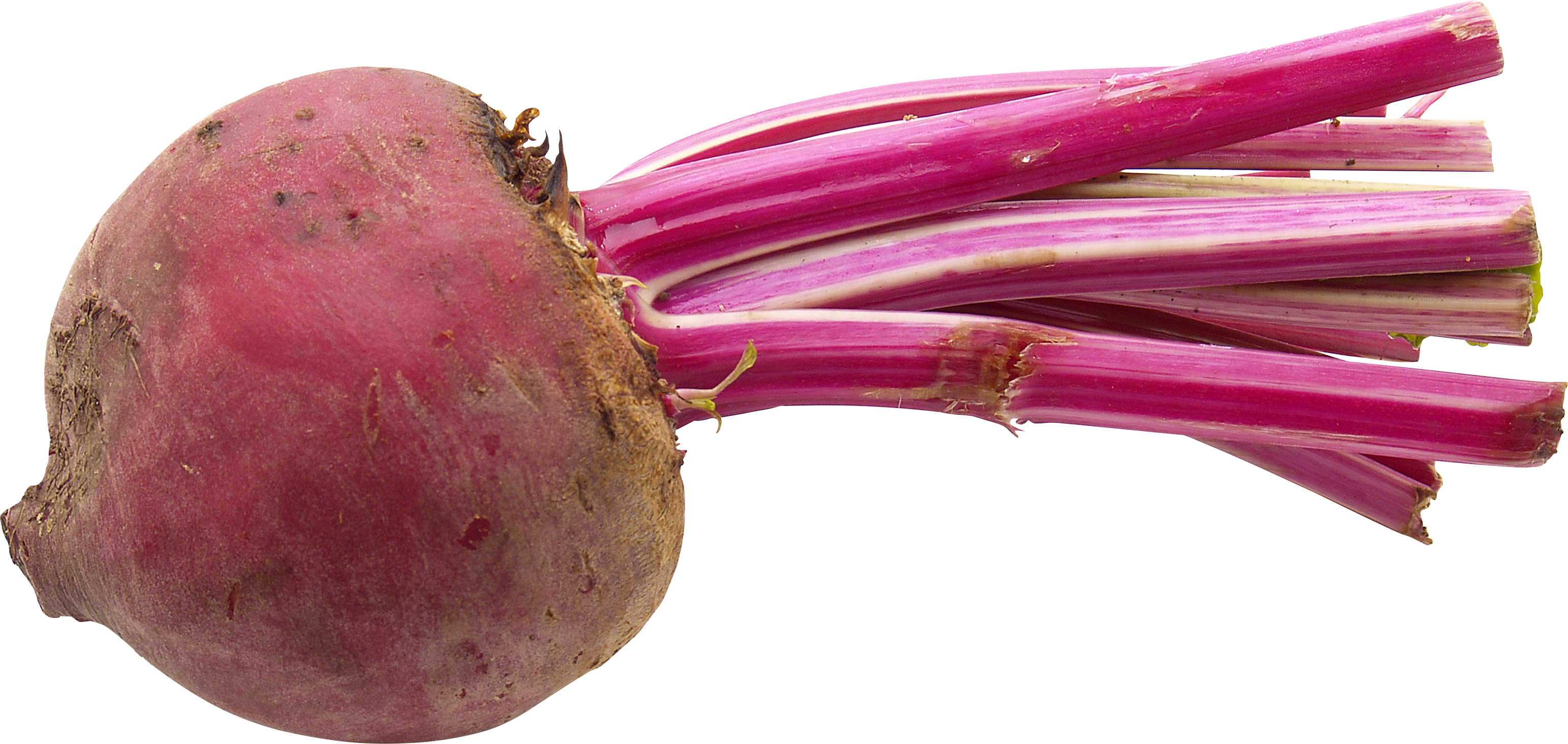 Fresh Beetrootwith Stems