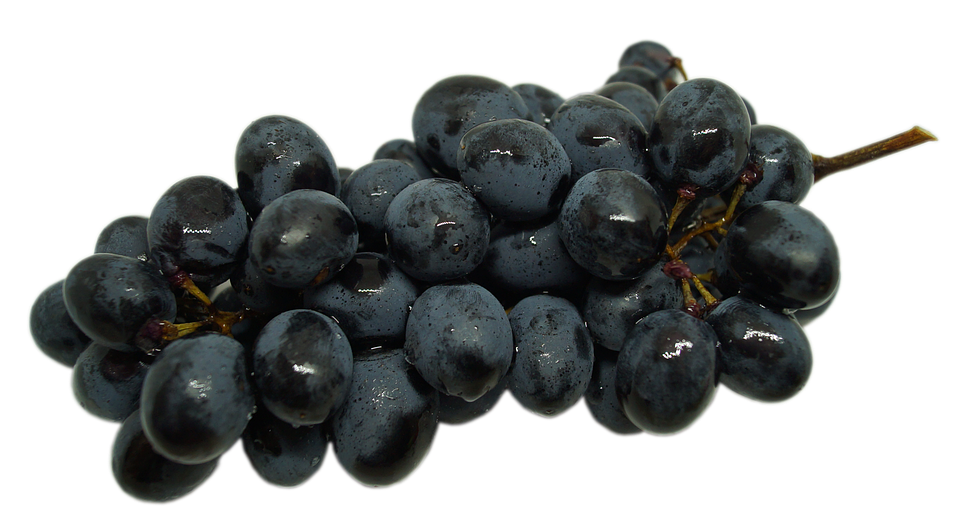 Fresh Black Grapes Cluster.png